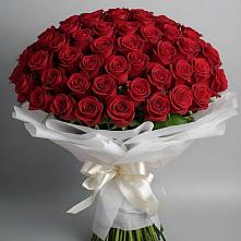 Букет 101 Красная роза Блэк Мэджик в Чернолучинском