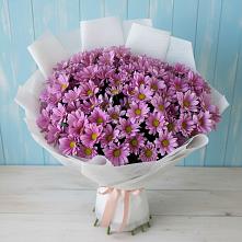 Букет цветов из:  Хризантемы в Чернолучинском