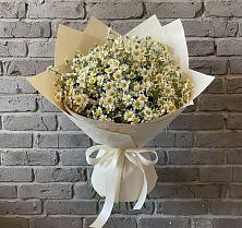 Букет цветов из:  Ромашки в Чернолучинском