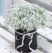 Цветочная композиция из Гипсофила в шляпной коробке #REPLACE_PRED# Чернолучинском