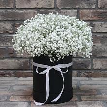 Цветочная композиция из Гипсофила в шляпной коробке в Чернолучинском
