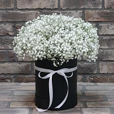 Цветочная композиция из Гипсофила в шляпной коробке в Чернолучинском