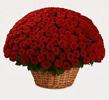 Премиум букет из: Розы в Чернолучинском